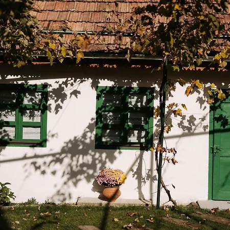 Sura Din Joseni Villa Porumbacu de Sus Exterior photo