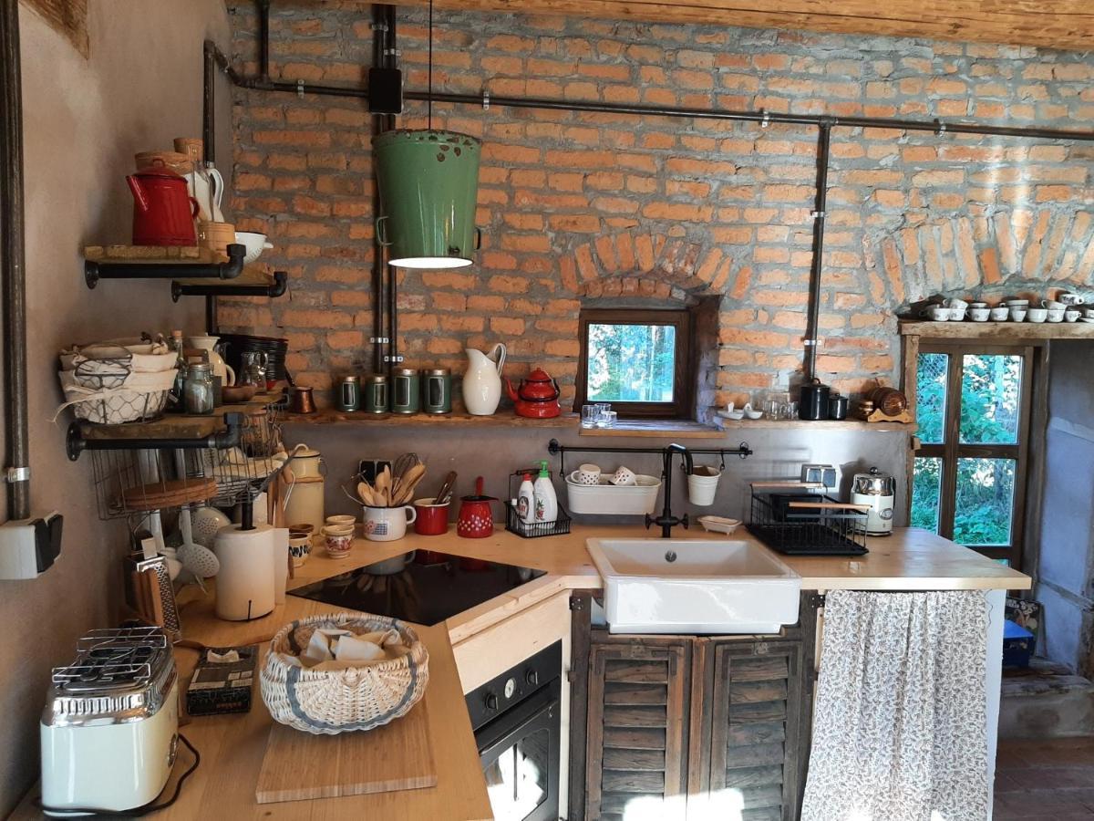 Sura Din Joseni Holiday home *