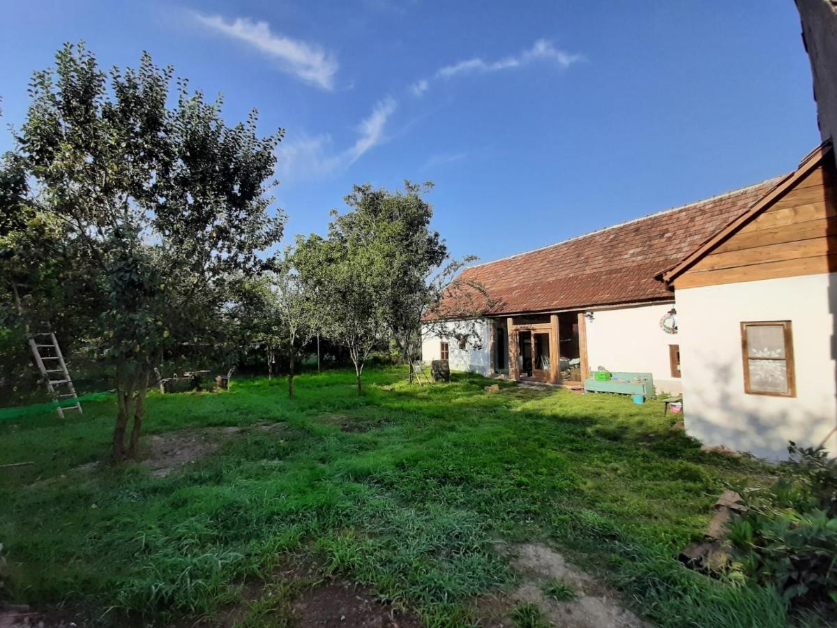Holiday home Sura Din Joseni Porumbacu de Sus
