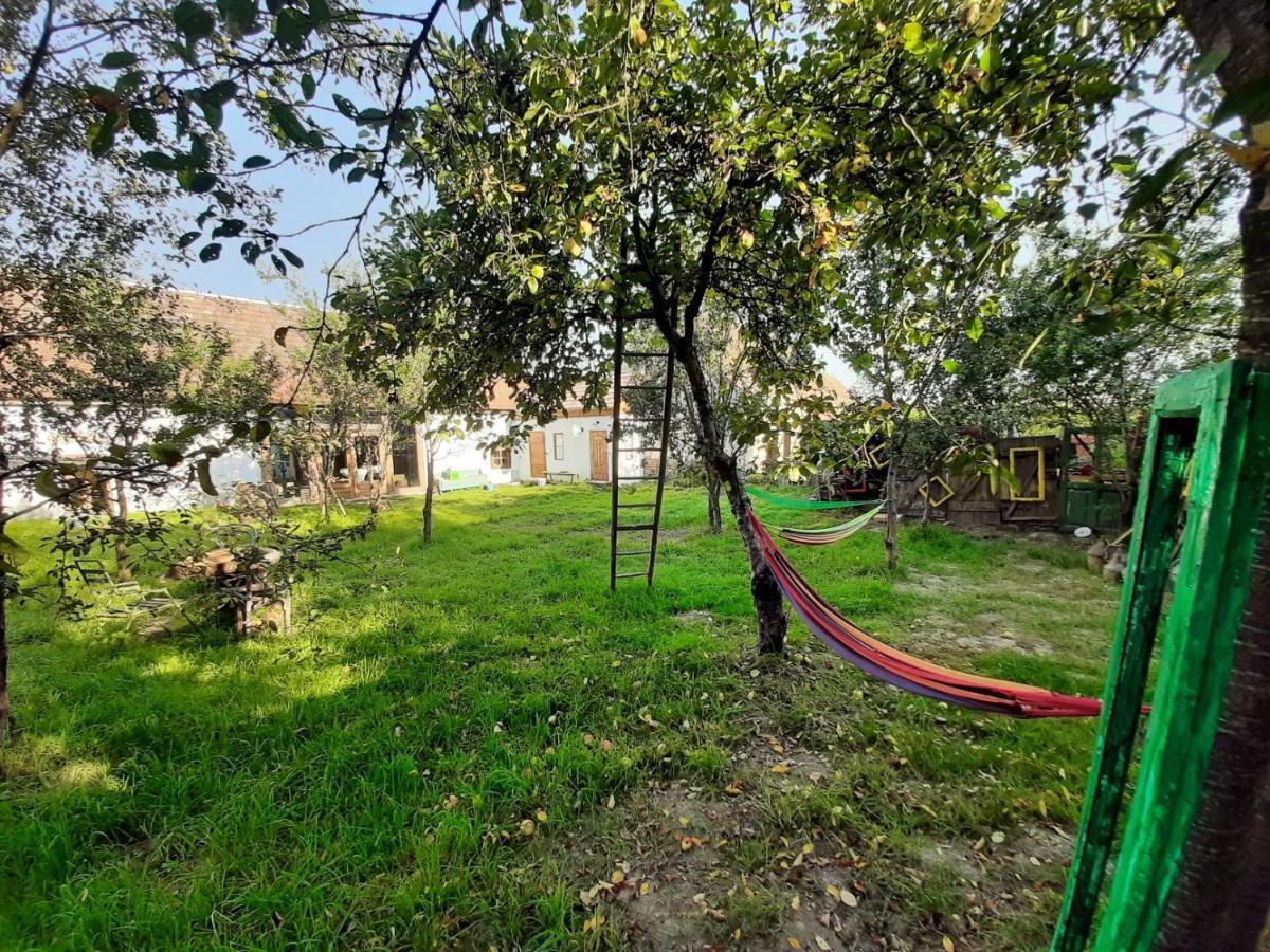 Holiday home Sura Din Joseni Porumbacu de Sus